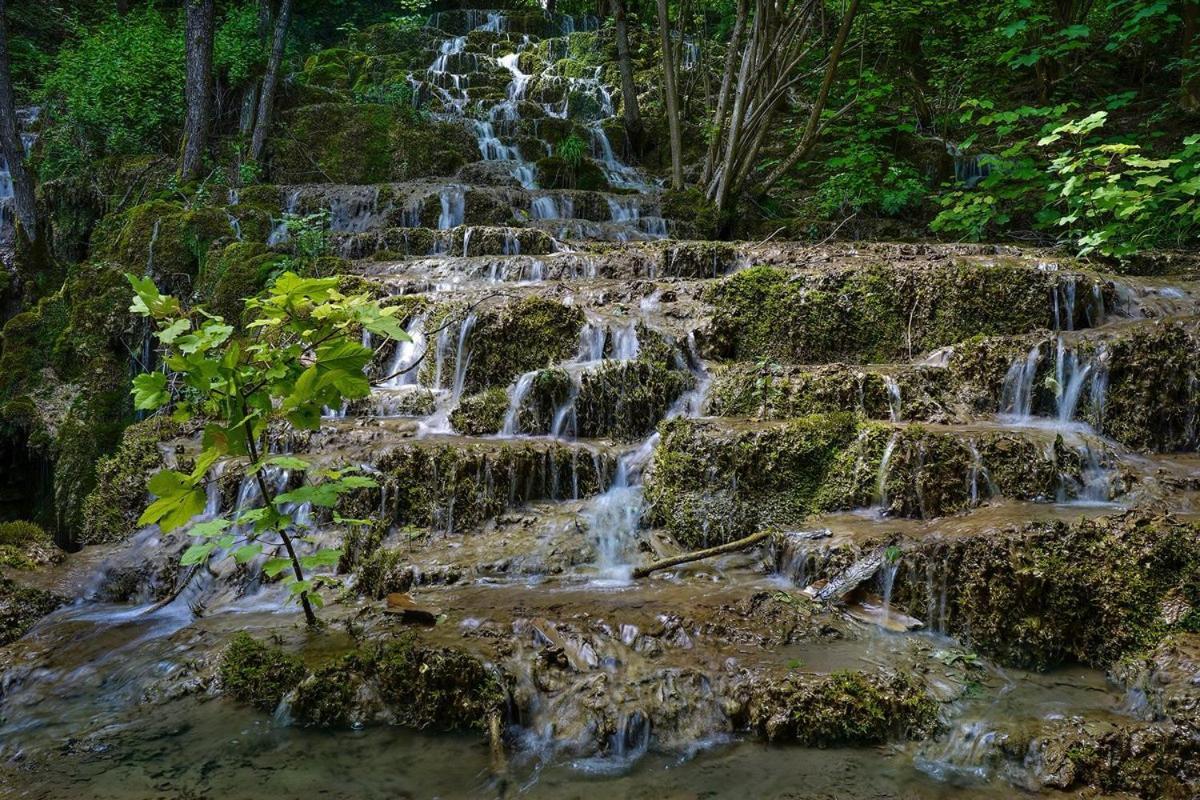 Garni Hotel Mali Predah - Novi Deo Knjazevac Exteriér fotografie
